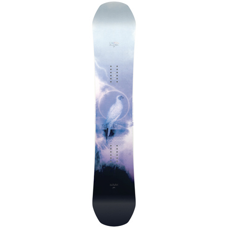 CAPITA Birds Of A Feather 144 2024 DEMO snowboard