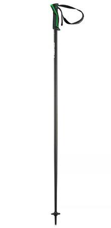 Ski Poles Head Frontside 110 cm