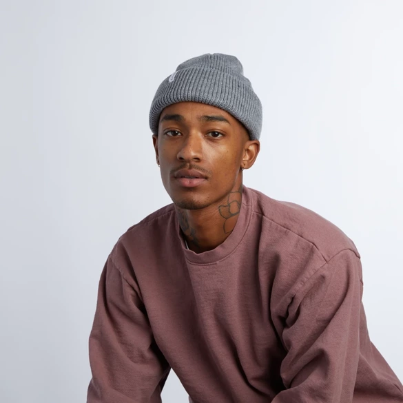 COAL The Frena (heather grey) beanie