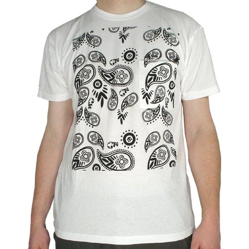 Etnies Paisley (white) T-Shirt