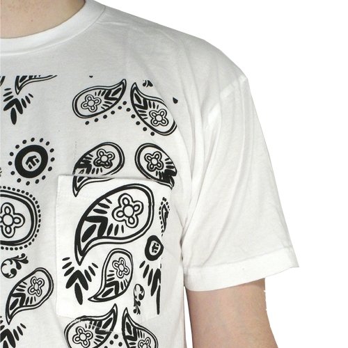 Etnies Paisley (white) T-Shirt