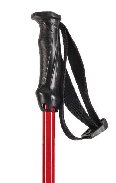 Ski Poles Volkl Rentastick