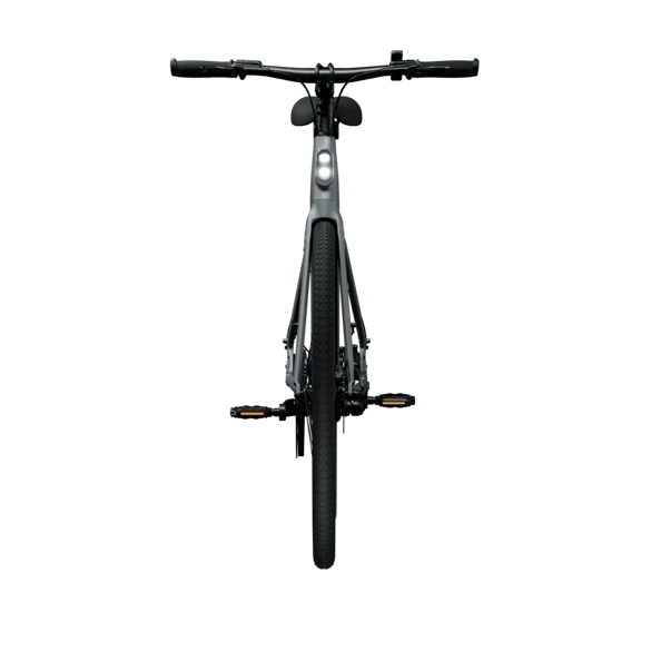 TENWAYS CGO600 Pro (pebble grey) city e-bike