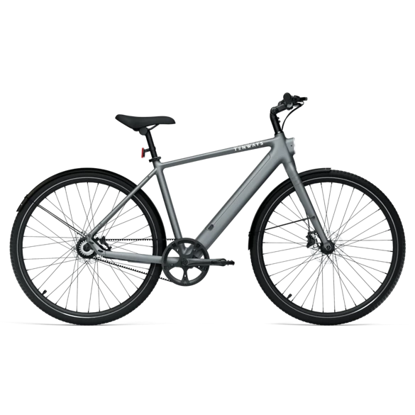 TENWAYS CGO600 Pro (pebble grey) city e-bike