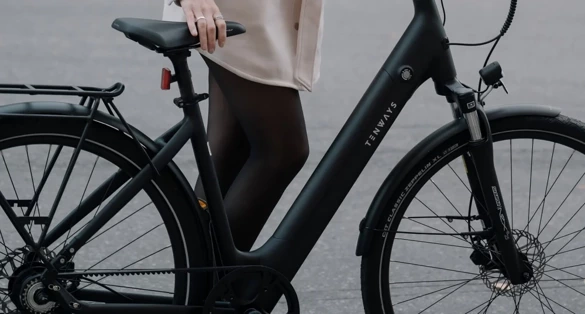 TENWAYS CGO800S (pebble grey) city e-bike