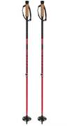 Ski Poles Scott Pole