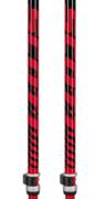 Ski Poles Scott Pole