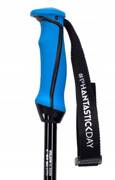 Ski Poles Volkl Phantastick