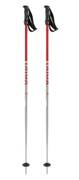 Ski Poles Volkl Rentastick