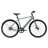 TENWAYS CGO600 Pro (pebble grey) city e-bike