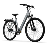 TENWAYS CGO800S (pebble grey) city e-bike