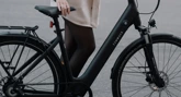 TENWAYS CGO800S (pebble grey) city e-bike