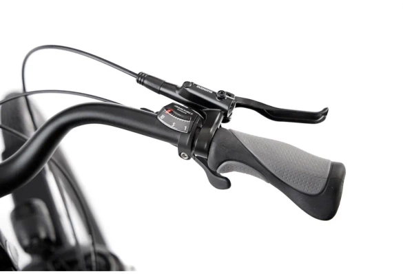 Rower trekkingowy ROMET WAGANT 9 2024 (jasnografitowo-ciemnozłoty)