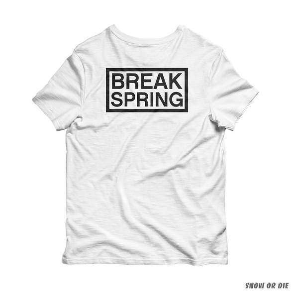 CAPITA Spring Break Kooks Pocket 20' (white) t-shirt