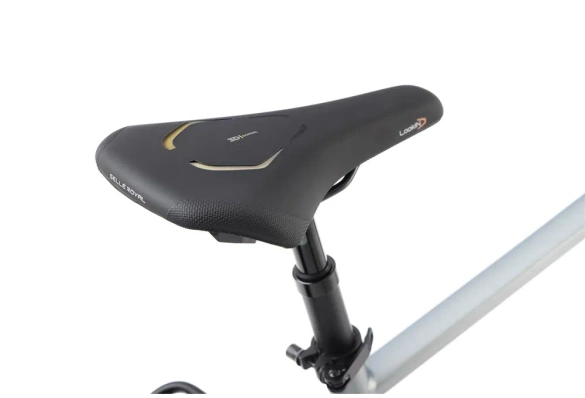 Rower trekkingowy ROMET WAGANT 9 2024 (jasnografitowo-ciemnozłoty)