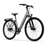 TENWAYS CGO800S (pebble grey) city e-bike