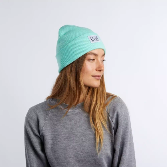 COAL The Mel (mint) beanie