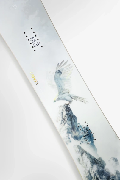CAPITA Birds Of A Feather 144 2026 snowboard
