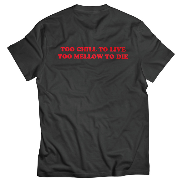 Koszulka CAPITA Spring Break Chill Tee '23 (charcoal)