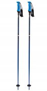 Ski Poles Volkl Phantastick