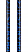 Ski Poles Volkl Phantastick