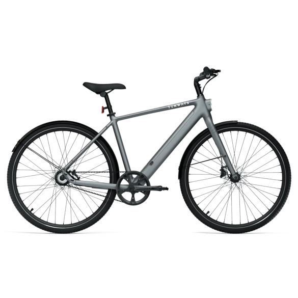 Rower elektryczny miejski TENWAYS CGO600 Pro (pebble grey)