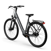 TENWAYS CGO800S (pebble grey) city e-bike