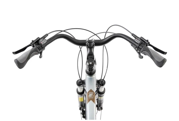Rower trekkingowy ROMET WAGANT 9 2024 (jasnografitowo-ciemnozłoty)